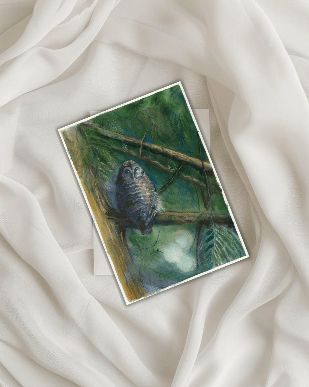 Owl