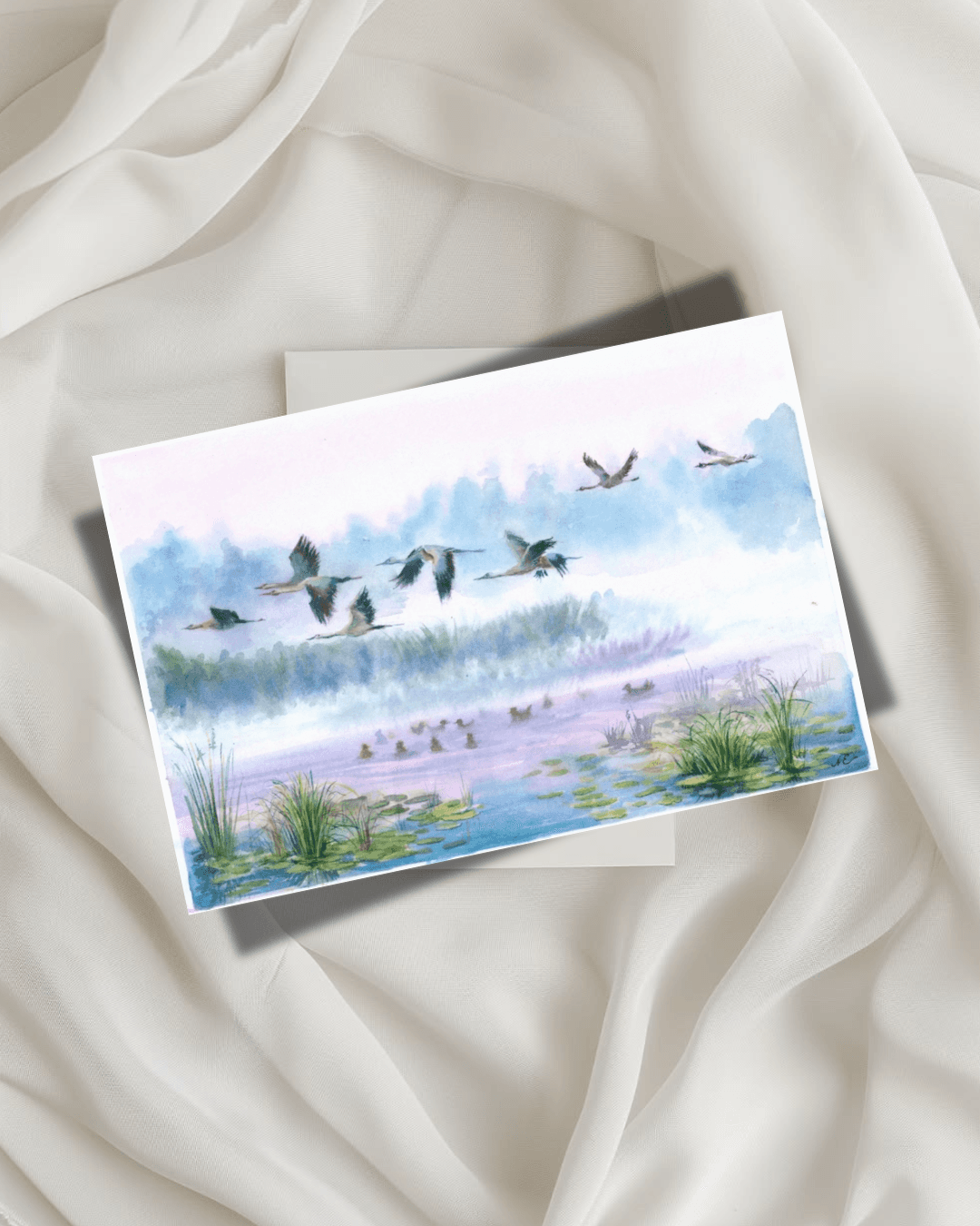 Storks
