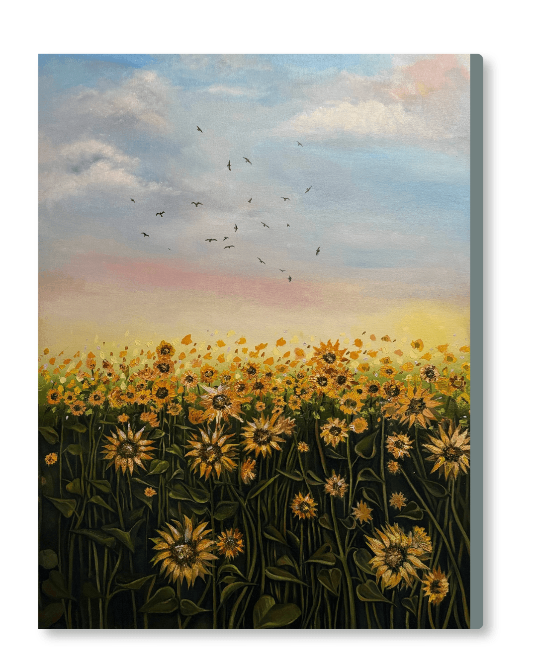 Sunflowers