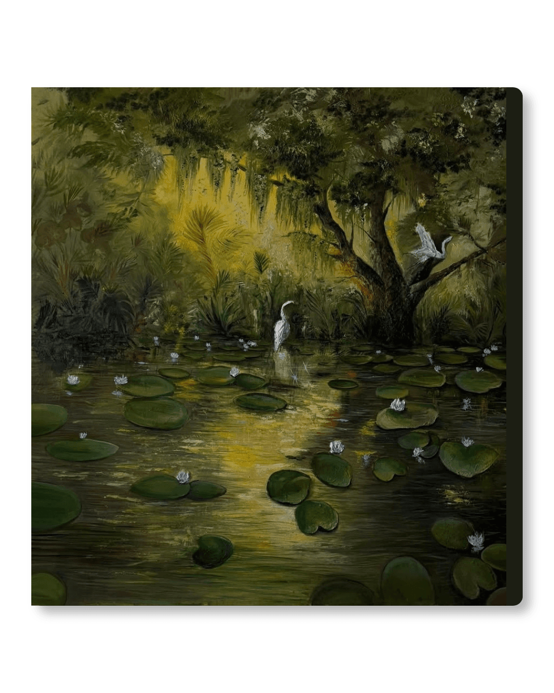 Magical swamp